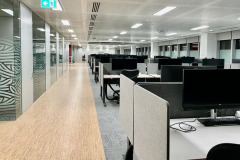 Sense 300x1200