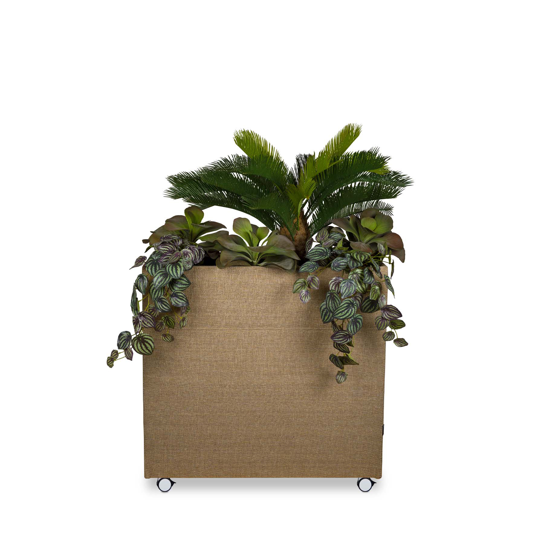 Gotessons Plant Divider - Bushell Interiors
