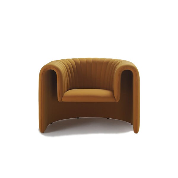 Sancal Remnant