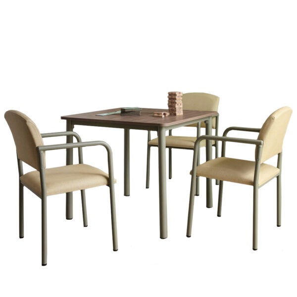 Seniorcare Lester Chairs